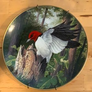 Woodpecker porcelain Collectors plate